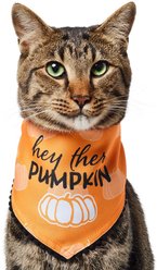 Frisco Hey There Pumpkin Dog & Cat Bandana, X-Small/Small