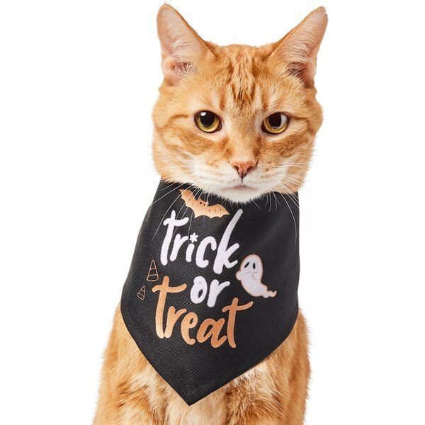 Pup Crew Small & Medium Breeds "Witches Be Trippin" Dog & Cat Bandana, X-Small/Small