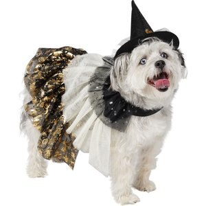 Frisco Enchanted Witch Dog & Cat Costume Accessory and Cape, Medium/Large