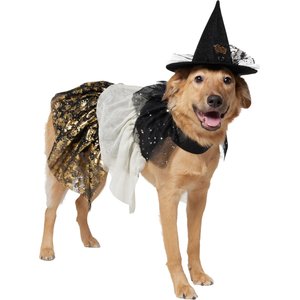 Frisco Enchanted Witch Dog & Cat Costume Accessory & Cape, X-Large/XX-Large