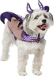 Frisco Dragon Dog & Cat Costume Accessory, Medium/Large