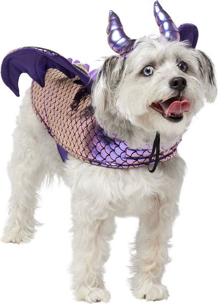 Frisco Dragon Dog & Cat Costume Accessory, Medium/Large slide 1 of 8