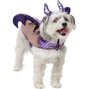 Frisco Dragon Dog & Cat Costume Accessory, Medium/Large