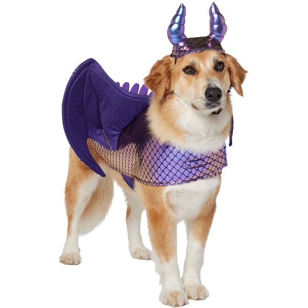 Frisco Princess Dog & Cat Costume