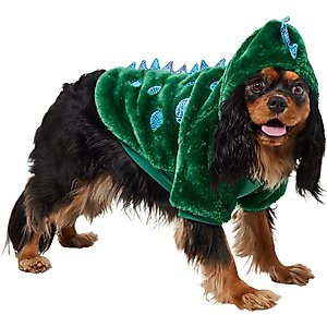 Frisco Cozy Dinosaur Dog & Cat Hoodie, Medium