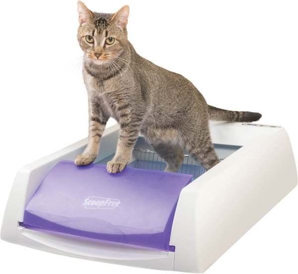 PetSafe ScoopFree Original Automatic Self-Cleaning Cat Litter Box, Purple slide 1 of 11