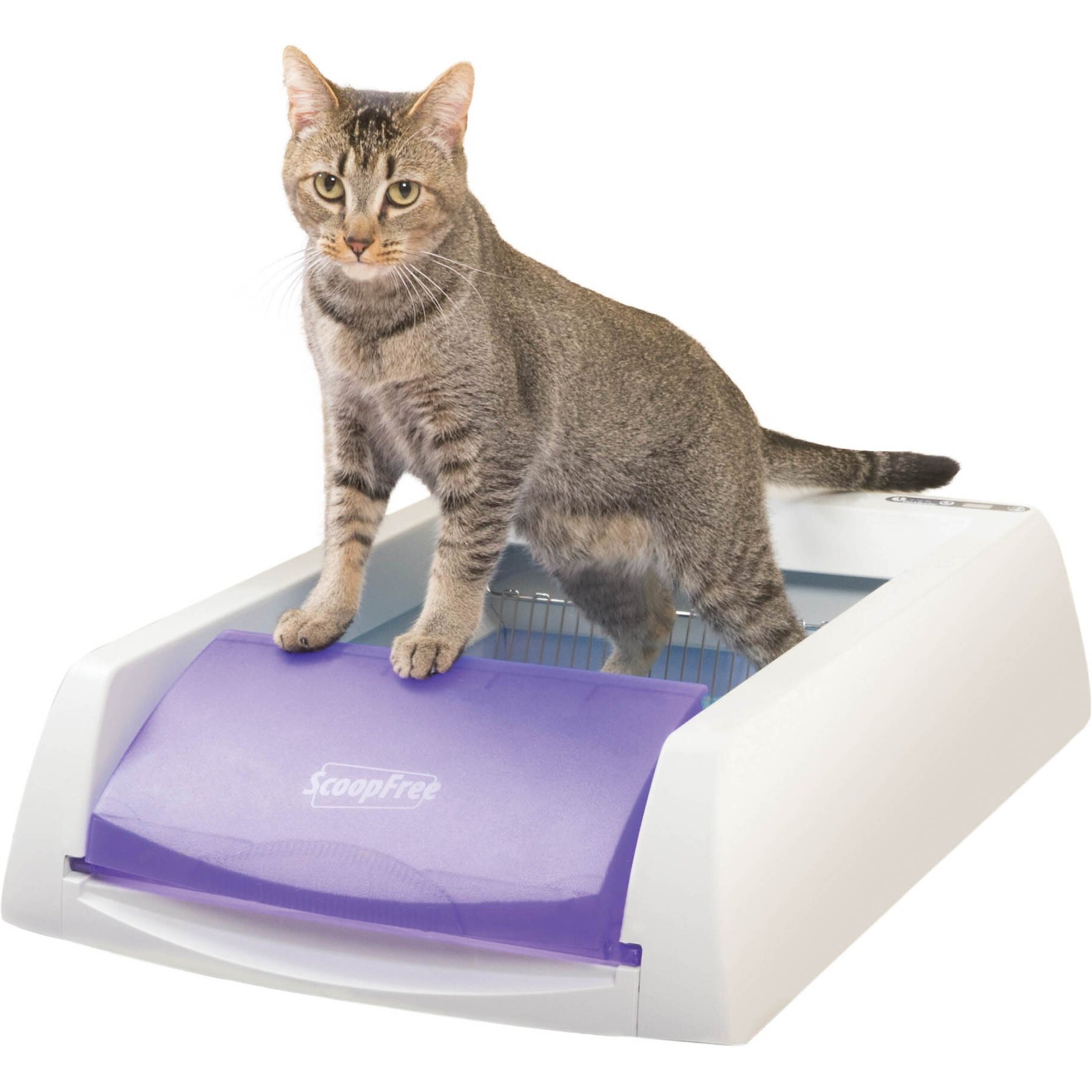 ScoopFree Automatic hotsell Self Cleaning Covered Cat Litter Box with 50$ tray included