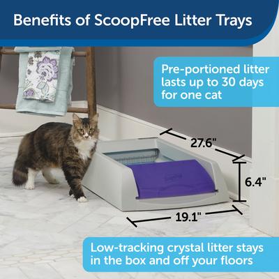 Show full view: PetSafe ScoopFree Crystal Pro Self-Cleaning Cat Litter Box, Purple slide 5 of 10