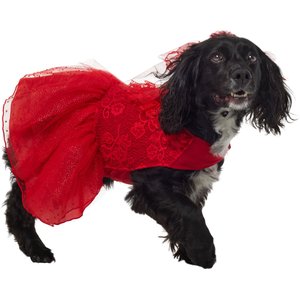 FRISCO Pumpkin Patch Cutie Dog & Cat Dress, Large - Chewy.com