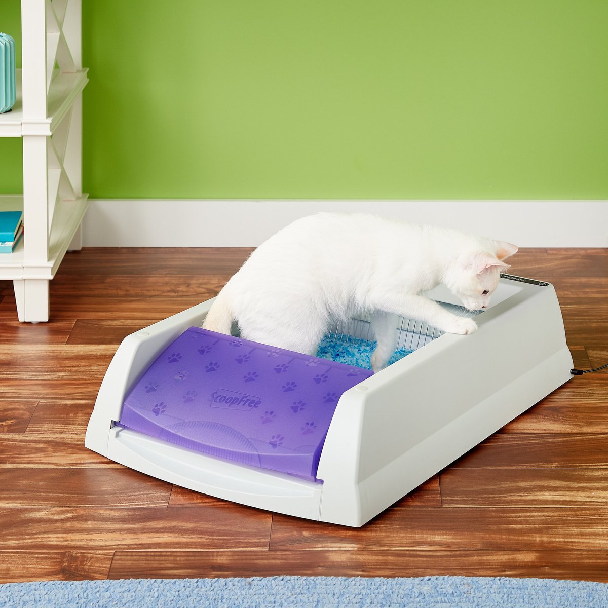 Scoopfree premium blue crystal cat litter tray on sale refills