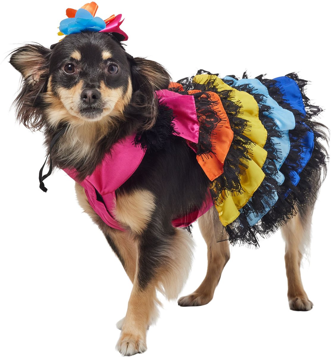Frisco Ruffle Dog & Cat Dress