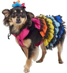 Frisco Ruffle Party Dog & Cat Dress + Headpiece, Medium