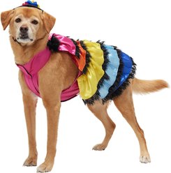 Frisco Ruffle Party Dog & Cat Dress + Headpiece, X-Large