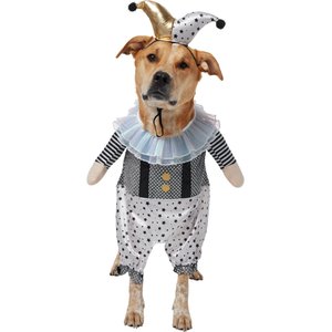 Frisco Front Walking Glitter Clown Dog & Cat Costume, X-Large