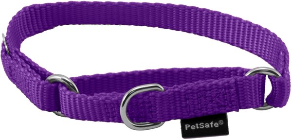 PetSafe Nylon Martingale Dog Collar, Deep Purple, Petite, 3/8-in slide 1 of 4
