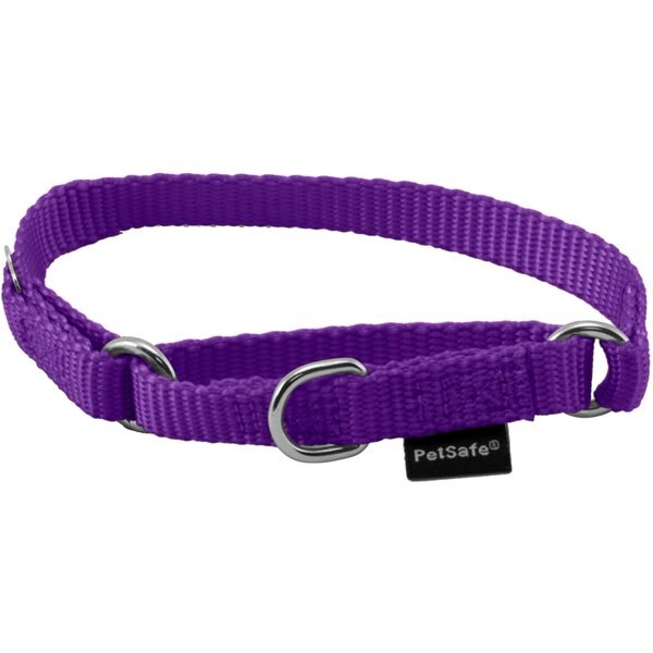PETSAFE Nylon Martingale Dog Collar, Deep Purple, Petite, 3/8in