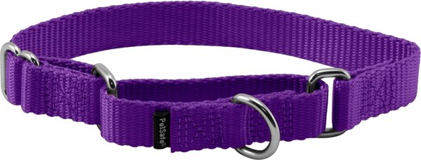 PetSafe Nylon Martingale Dog Collar, Deep Purple, Small: 8 to 12-in neck, 3/4-in wide slide 1 of 4