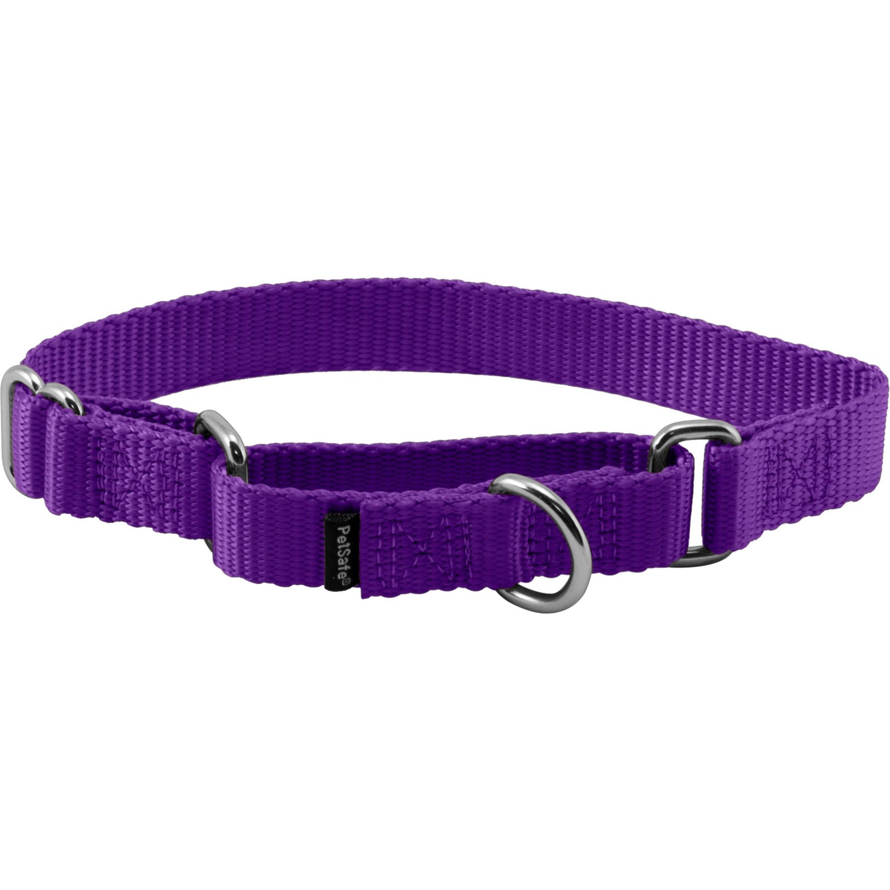 Martingale shops collar chewy