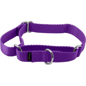 PetSafe Nylon Martingale Dog Collar, Deep Purple, Medium: 10 to 16-in neck, 3/4-in wide