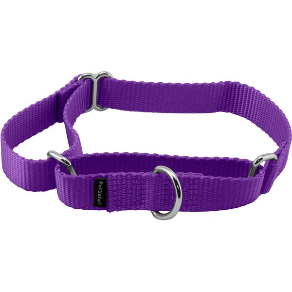 PETSAFE Nylon Martingale Dog Collar, Deep Purple, Medium: 10 to 16-in ...