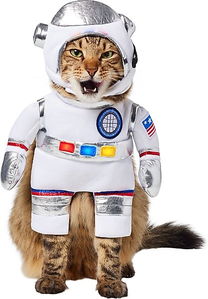 Frisco Front Walking LED Astronaut Dog & Cat Costume, Small slide 1 of 9