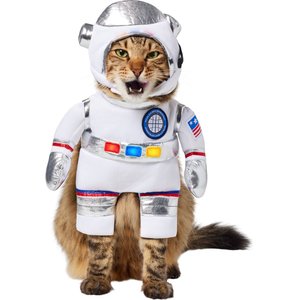 Frisco Front Walking LED Astronaut Dog & Cat Costume, Small