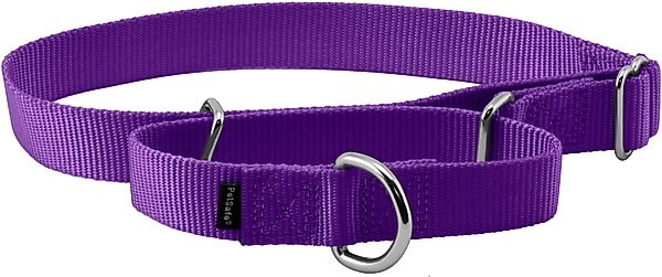 PetSafe Nylon Martingale Dog Collar, Deep Purple, Large: 14 to 20-in neck, 1-in wide slide 1 of 4