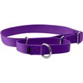 PetSafe Nylon Martingale Dog Collar, Deep Purple, Large: 14 to 20-in neck, 1-in wide