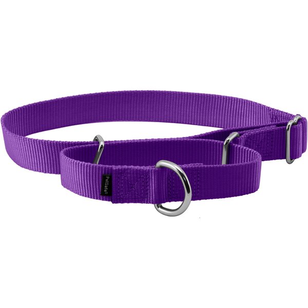 PETSAFE Quick Snap Buckle Nylon Martingale Dog Collar, Deep Purple, Large 13 to 20in neck, 1