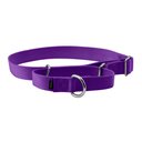 PetSafe Nylon Martingale Dog Collar, Deep Purple, Large: 14 to 20-in neck, 1-in wide