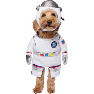 FRISCO Front Walking Gingerbread Dog & Cat Costume, X-Small - Chewy.com