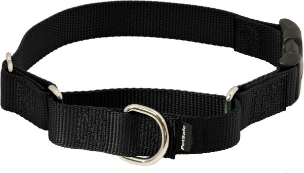 PetSafe Quick Snap Buckle Nylon Martingale Dog Collar, Black, Small: 9 to 11-in neck, 3/4-in wide slide 1 of 6