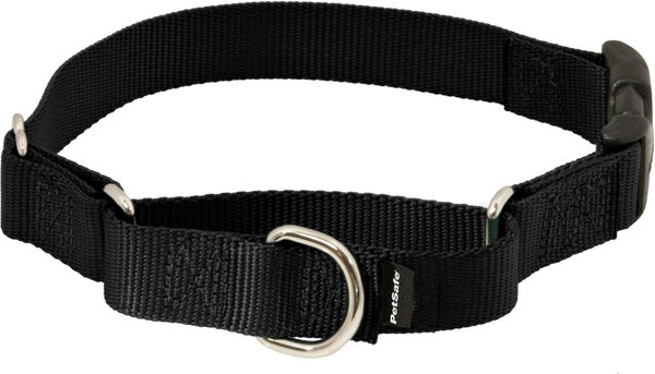 PetSafe Quick Snap Buckle Nylon Martingale Dog Collar, Black, Medium: 11 to 15-in neck, 3/4-in wide slide 1 of 8