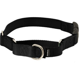 PetSafe Quick Snap Buckle Nylon Martingale Dog Collar, Black, Medium: 11 to 15-in neck, 1-in wide