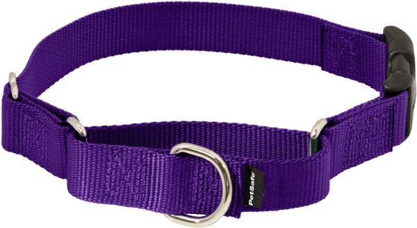 PetSafe Quick Snap Buckle Nylon Martingale Dog Collar, Petite: 7 to 9-in neck, 3/8-in wide slide 1 of 8