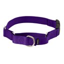 PetSafe Quick Snap Buckle Nylon Martingale Dog Collar, Deep Purple, Small: 9 to 11-in neck, 3/4-in wide