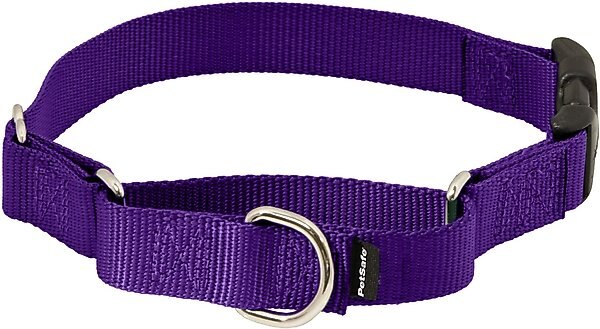 PetSafe Quick Snap Buckle Nylon Martingale Dog Collar, Deep Purple, Large: 13 to 20-in neck, 1-in wide slide 1 of 7