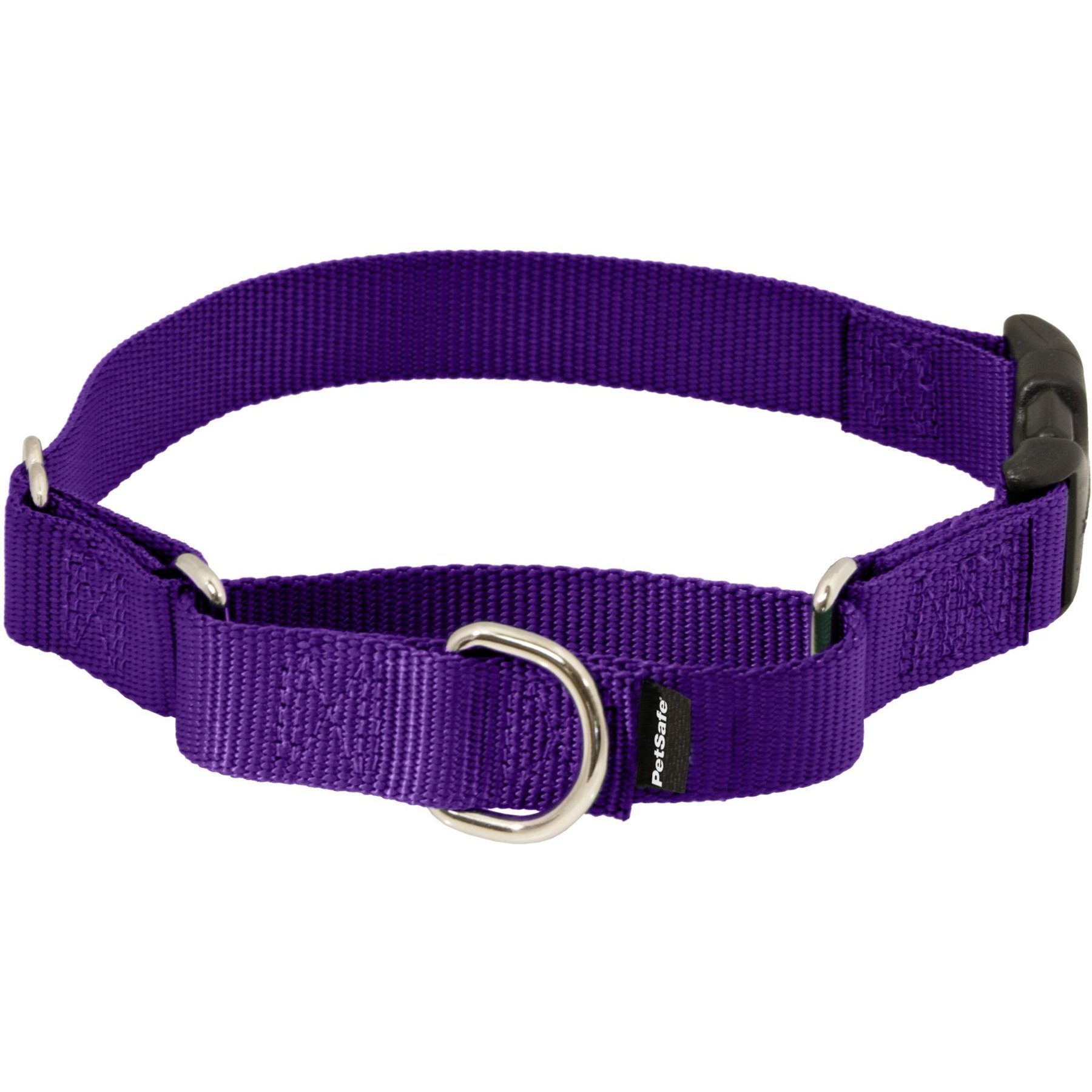 PETSAFE Quick Snap Buckle Nylon Martingale Dog Collar, Deep Purple ...