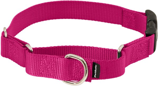 PetSafe Quick Snap Buckle Nylon Martingale Dog Collar, Raspberry, Small: 9 to 11-in neck, 3/4-in wide slide 1 of 8