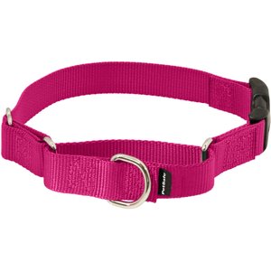 PetSafe Quick Snap Buckle Nylon Martingale Dog Collar, Raspberry, Medium: 11 to 15-in neck, 3/4-in wide