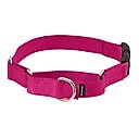 PetSafe Quick Snap Buckle Nylon Martingale Dog Collar, Raspberry, Medium: 11 to 15-in neck, 3/4-in wide