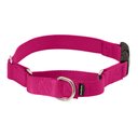 PetSafe Quick Snap Buckle Nylon Martingale Dog Collar, Raspberry, Medium: 11 to 15-in neck, 1-in wide