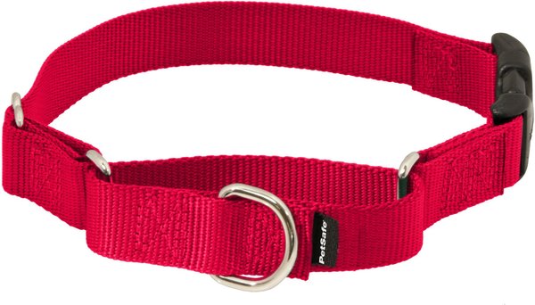 PetSafe Quick Snap Buckle Nylon Martingale Dog Collar, Red, Petite: 7 to 9-in neck, 3/8-in wide slide 1 of 6