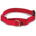 PetSafe Quick Snap Buckle Nylon Martingale Dog Collar, Red, Small: 9 to 11-in neck, 3/4-in wide