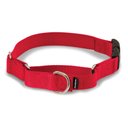 PetSafe Quick Snap Buckle Nylon Martingale Dog Collar, Red, Small: 9 to 11-in neck, 3/4-in wide