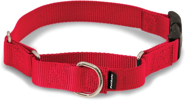 PetSafe Quick Snap Buckle Nylon Martingale Dog Collar, Red, Large: 13 to 20-in neck, 1-in wide slide 1 of 7