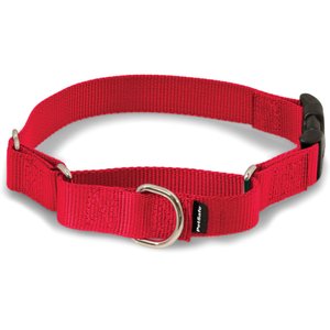 PetSafe Quick Snap Buckle Nylon Martingale Dog Collar