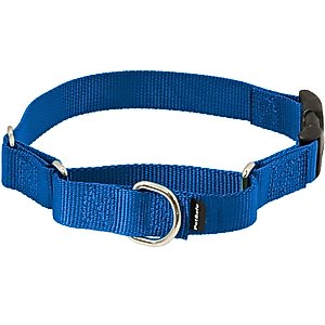 PetSafe Quick Snap Buckle Nylon Martingale Dog Collar, Royal Blue, Medium: 11 to 15-in neck, 3/4-in wide