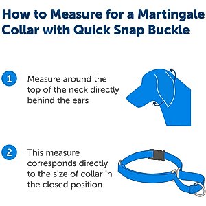 PetSafe Quick Snap Buckle Nylon Martingale Dog Collar, Royal Blue, Medium: 11 to 15-in neck, 3/4-in wide
