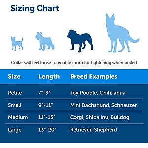 PetSafe Quick Snap Buckle Nylon Martingale Dog Collar, Royal Blue, Medium: 11 to 15-in neck, 3/4-in wide